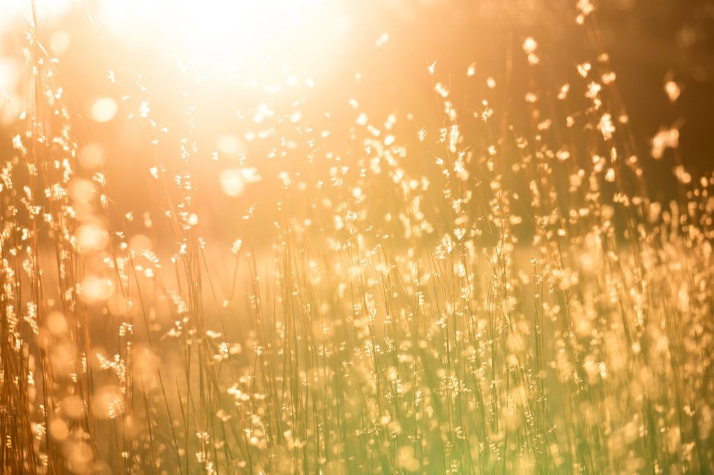 Announcement Regarding the Tender of Samsun and Denizli Healthcare Campuses