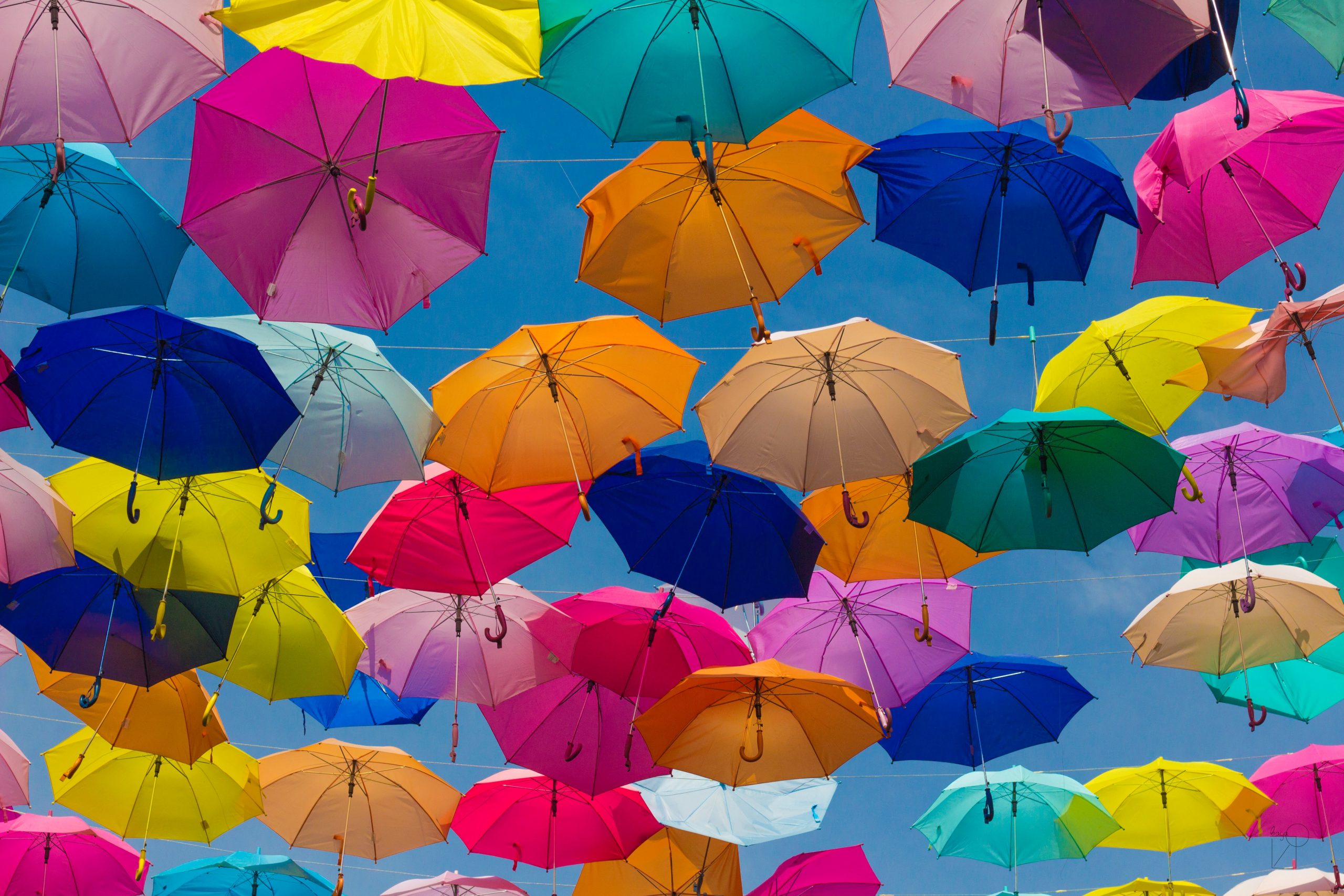 What`s Warranty and Indemnity Insurance?