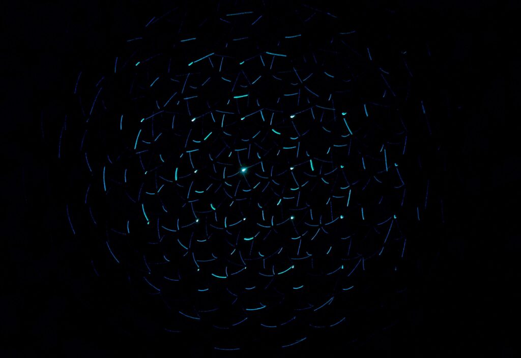 Transnational Litigation Guide 2023