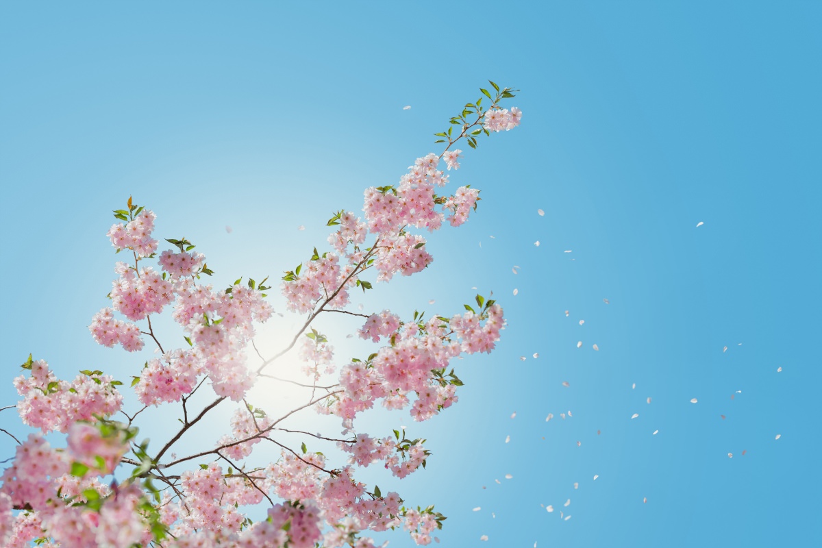 Spring 2014 Newsletter