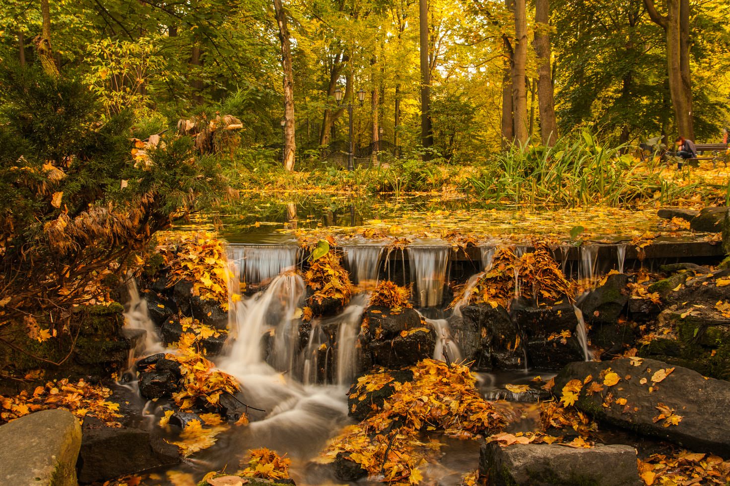 Summer/Fall 2021 Newsletter
