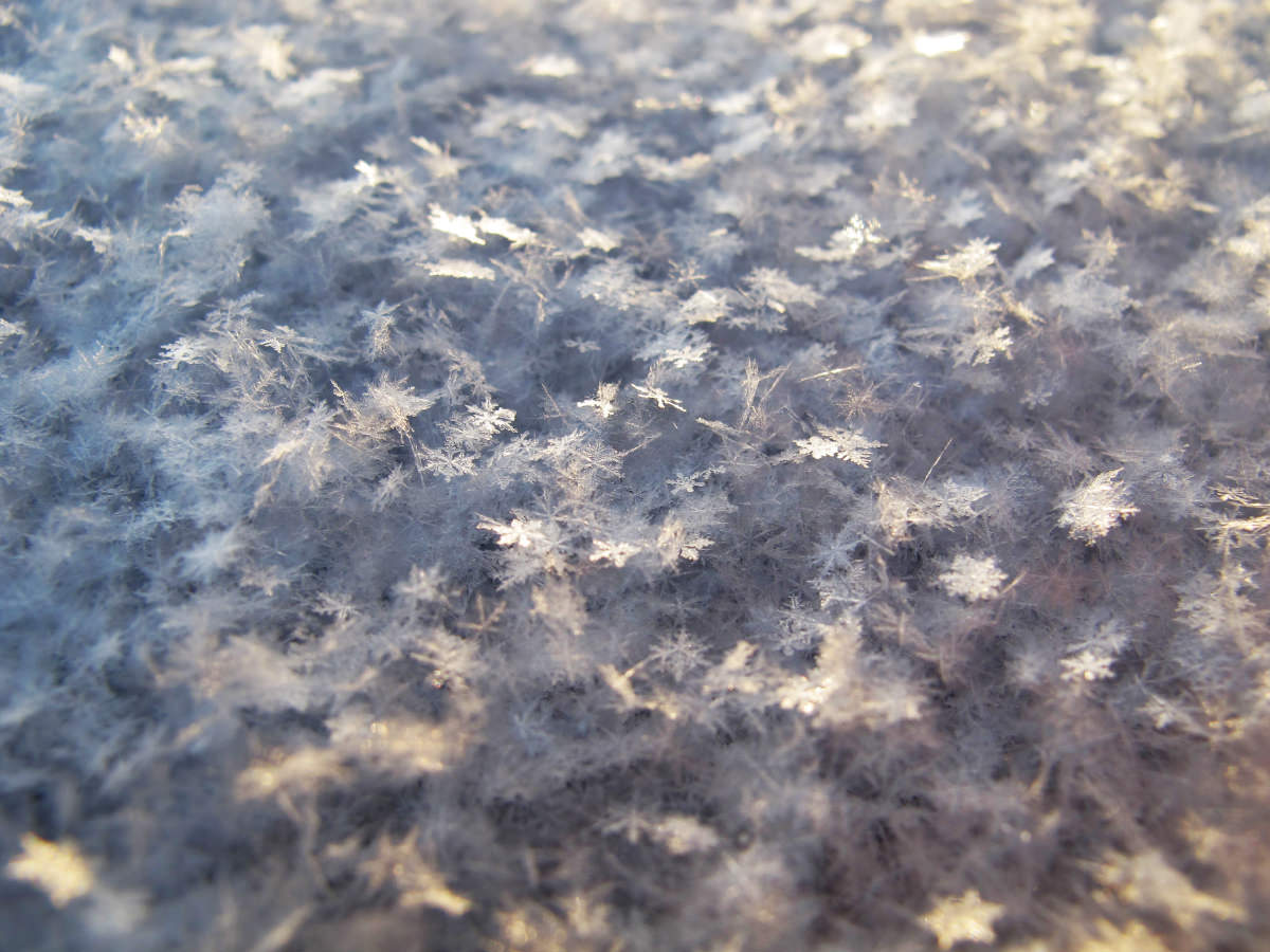 Winter 2016 Newsletter