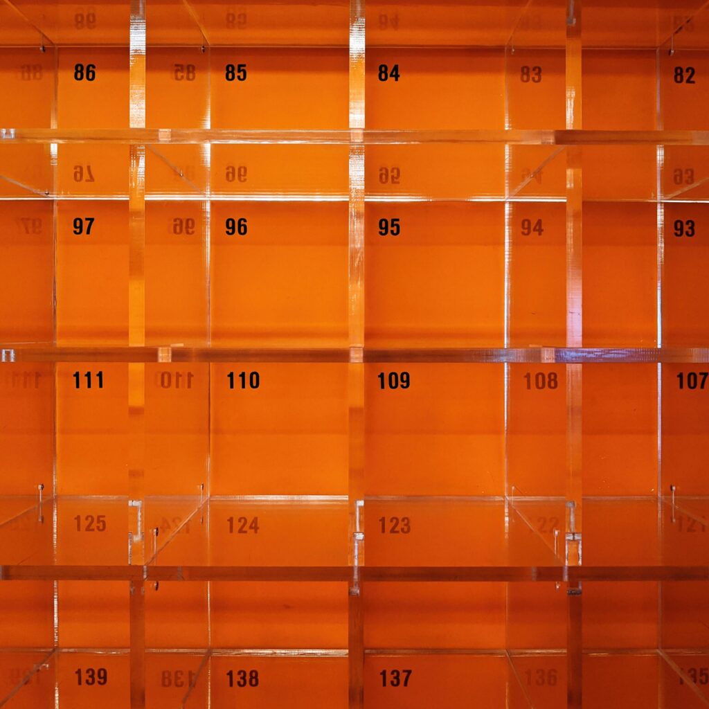 Rekabet Bülteni / Eylül 2023