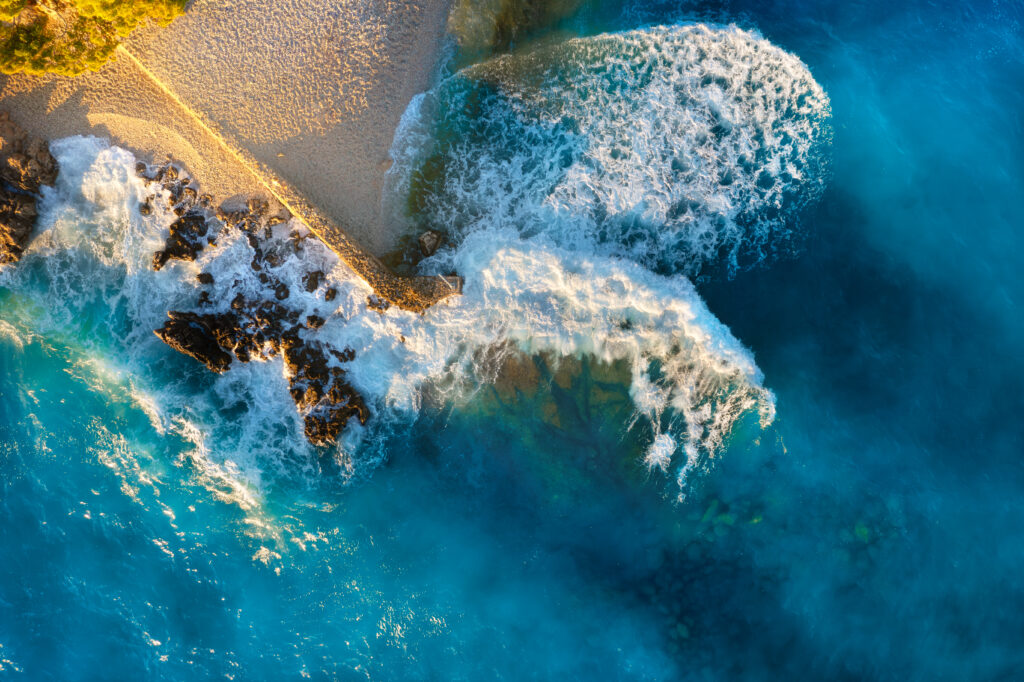 Rekabet ve Uluslararası Ticaret Bülteni 2024 Yılı İkinci Çeyreği