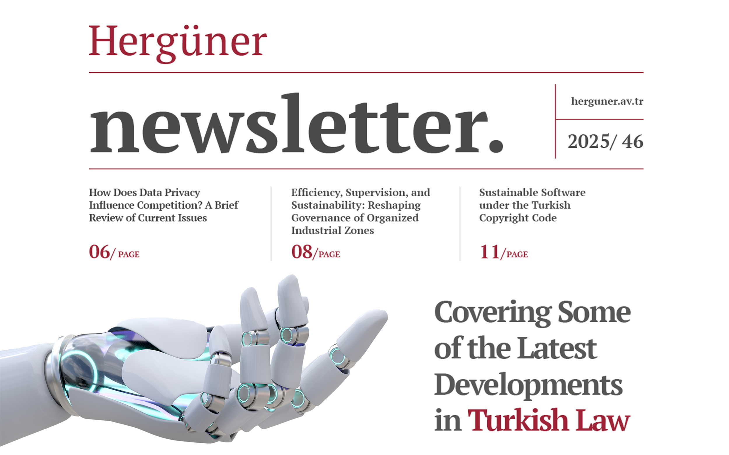 Newsletter 2025/46