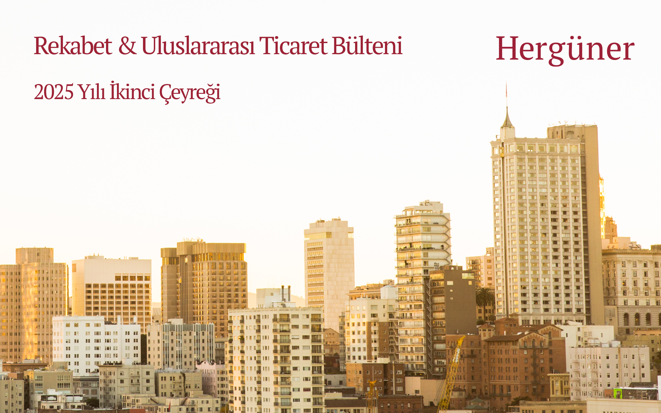 Rekabet & Uluslararası Ticaret Bülteni Temmuz 2025