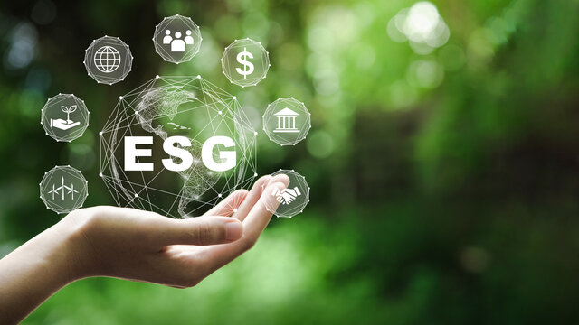 Possible Impacts of the Communiqué on Green Asset Ratio Calculation by Banks